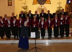Koncert w wykonaniu Chóru Cecylia i Zespołu Karolinki 29.01.2022